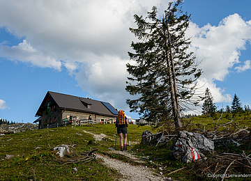 Aufstieg Steinbachtal zur Ybbstaler Hütte